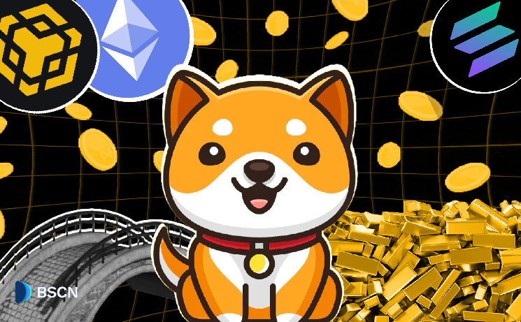 BabyDoge: Как мем-токен стал разнообразным криптовалютным проектом с реальными приложениями и социальной ответственностью