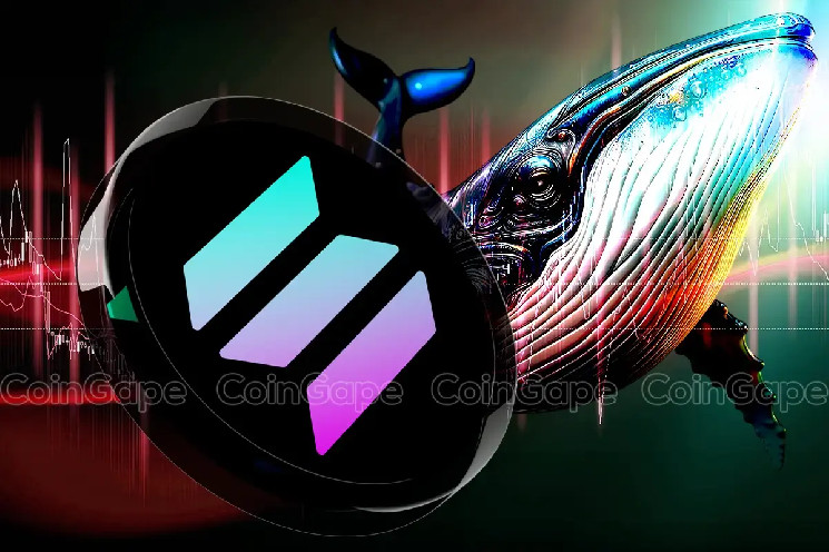 Кит Solana закупает 87 тысяч SOL на фоне паники вокруг мем-коинов: сможем ли мы увидеть рост выше 200 долларов?