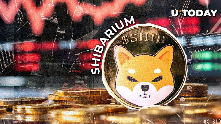 Падение транзакций Shibarium на 98%: что это значит для цены SHIB?