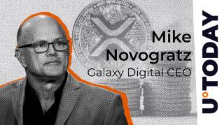 Почему XRP и Cardano остаются популярными: мнение Майка Новогратца о сообществе и полезности токенов