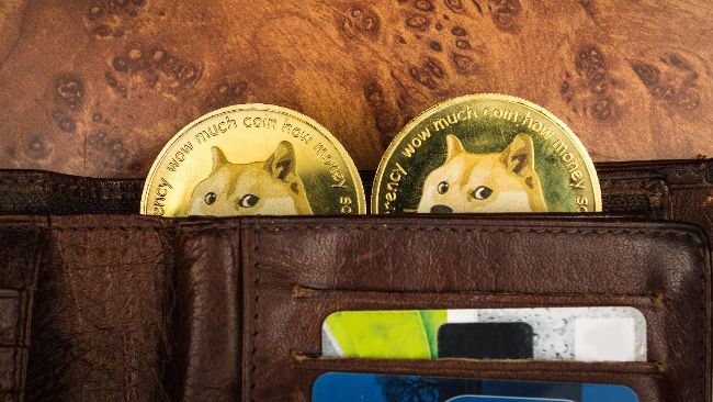 ChowWow: новий претендент на трон мемекоїнів поряд з Dogecoin
