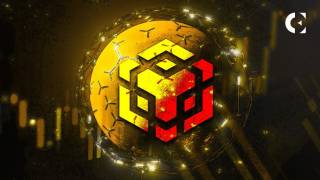 Зростання активності розробників на BNB Chain: чи побачимо нові рекорди цін на BNB?