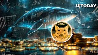 Снижение активности китов SHIB на 79% за три месяца при росте уровня сжигания токенов на 133.66%