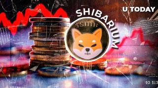 Транзакции Shibarium снизились на 99%: падение интереса к Shiba Inu и его последствия