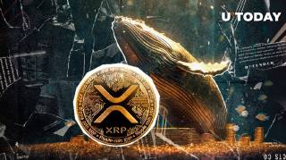 Крупный вывод XRP на сумму более $51 миллионов: возможные сигналы для рынка криптовалют