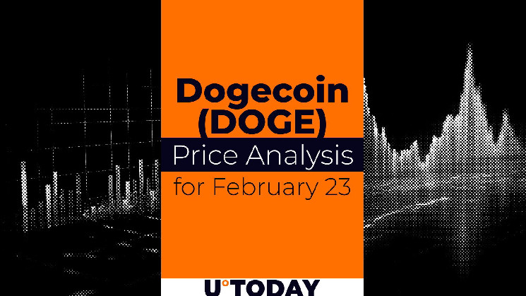 Прогноз цін на DOGE: можливе зниження до $0.20 наприкінці лютого