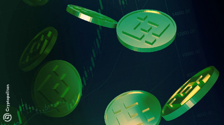 BNB: Тихий Победитель на Падающем Крипторынке