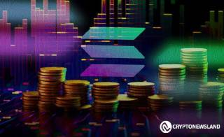 Інвестори Solana на межі страху: аналіз показників NUPL та ринкового настрою