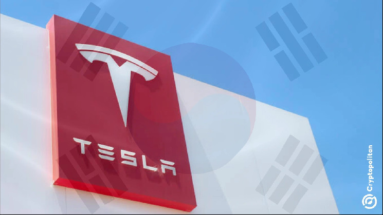 Южнокорейские инвесторы пересматривают рискованные ставки на Tesla: последствия падения акций и продукты с кредитным плечом.