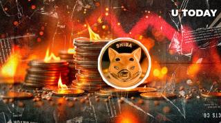 Споживання Shiba Inu: спалено 400 мільйонів монет, але спільнота незадоволена результатами