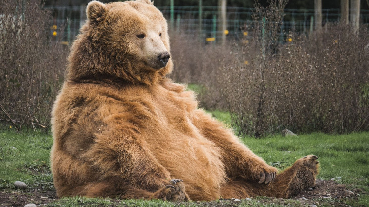 Біткоїн знову падає: ціна опустилася нижче $87,000 на фоні волатильності крипторинку і заяв Трампа.