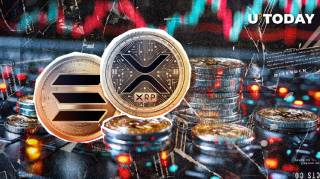 Критика альткойнів: Пітер Тодд про шахрайство в стратегічних крипто резерву