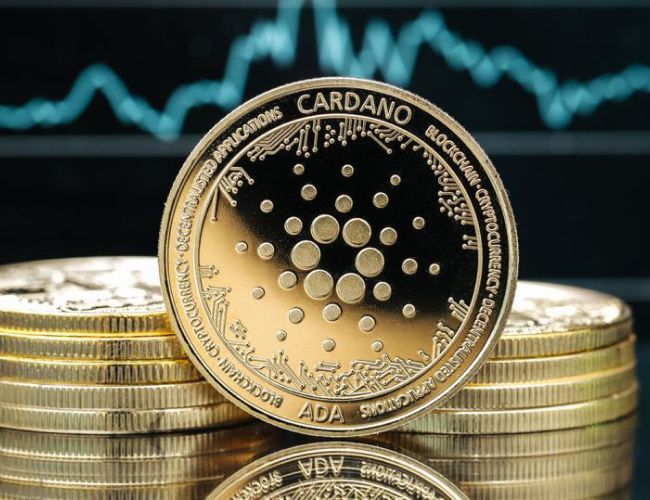 Проект FREN на Cardano: рост на 44% за день.