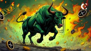 Прогноз зростання XRP: аналітик передбачає ціну до $27 у наступному циклі