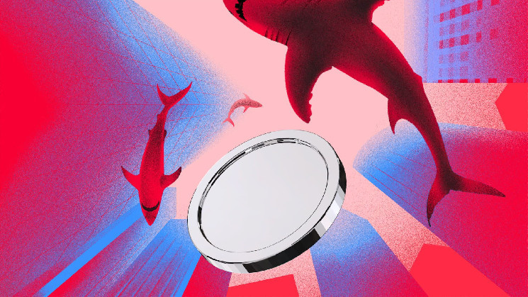 SafeMoon: Виклики після міграції і зростаючий тиск продажу