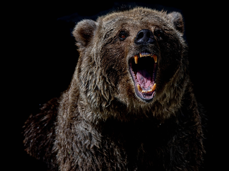 Біткойн впав нижче $80K: ринок криптовалют під тиском економічних викликів та падіння акцій