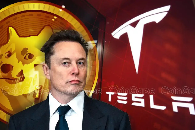 Падение акций Tesla и его влияние на цену Dogecoin: есть ли шанс на восстановление?
