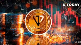 96% адрес Toncoin у збитках: причини та перспективи відновлення