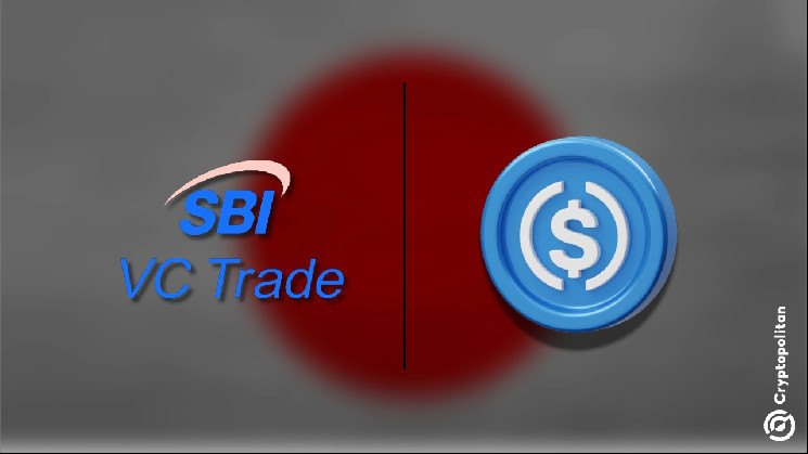 USDC запущен в бета-версии на платформе SBI VC Trade в Японии