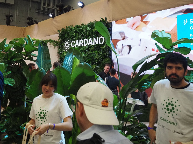 Cardano: Аналіз росту токена ADA та стратегії розвитку без акценту на TVL