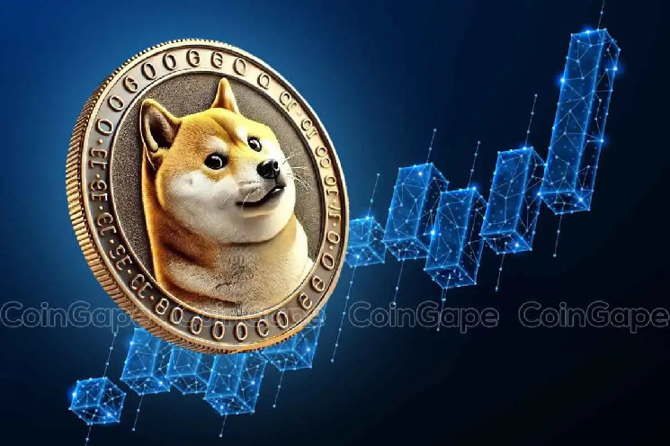 Ціна Dogecoin може зрости до $1 на фоні зростання кількості гаманців з DOGE