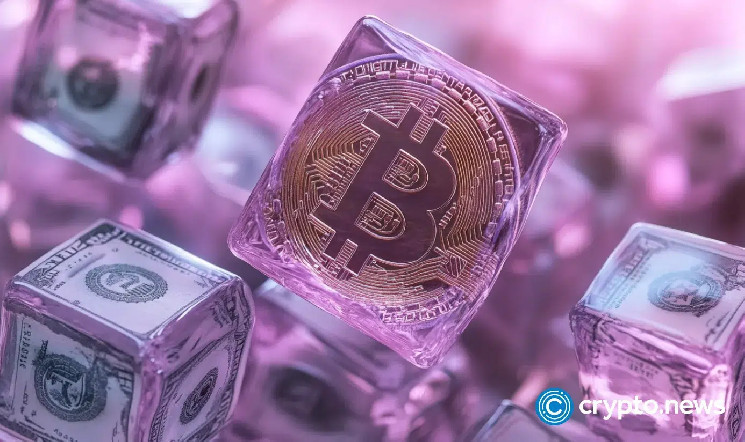 Короткая позиция на биткойн в $520 миллионов: ловушка для роста или стратегическая игра?