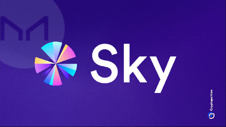 Sky Protocol обходит Ethena: USDS становится лидером среди стабильных монет несмотря на снижение на рынке Ethereum
