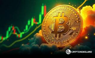 Спрос на Bitcoin растет: влияние покупки 172,705 BTC на рост цены до $96K