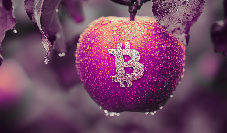 Аналитик предсказывает бычий рынок Биткойна и новые рекорды по ценам до конца года