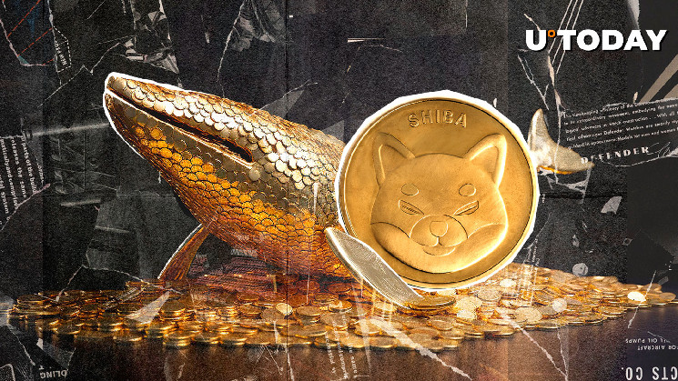 Кити відновлюють інвестиції в Шиба Іну: що очікувати далі?