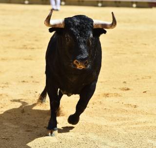 Зростання XLM, TON та ENA після додавання торгових пар з USDC на KuCoin