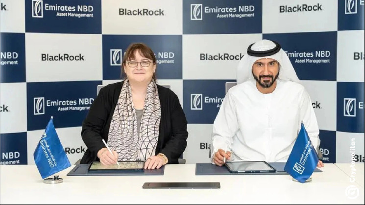 Blackrock и Emirates NBD запускают платформу для доступа к частным рынкам в ОАЭ
