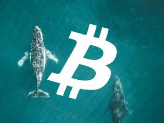 Киты открывают короткие позиции по биткойну на уровне $88,000: что это значит для рынка?