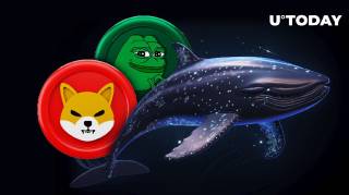 Кит продает PEPE, покупает SHIB и другие монеты