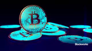 Инвестор в биткойн сомневается в возможности правительства США купить 5 миллионов BTC