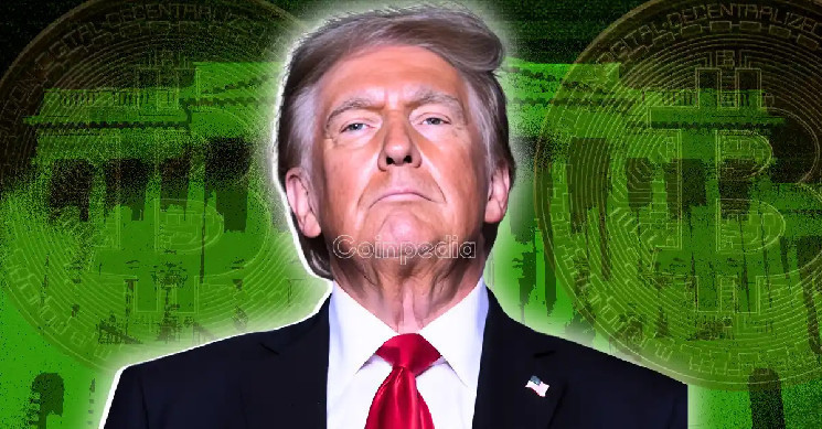 Трамп вводит 25% тарифы на импорт автомобилей для защиты американского производства