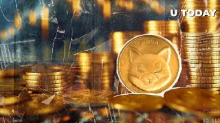 Киты Shiba Inu активизировались: рост объемов транзакций на 200% и позитивные сигналы для дальнейшего ралли