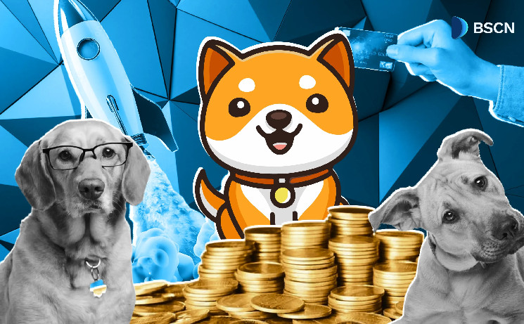 BabyDoge Coin: від мемекойна до благодійного проєкту з розвинутою екосистемою
