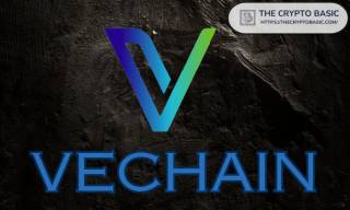 VeChain запускає дебетову картку B3TR для повсякденних витрат та блокчейн-нагород