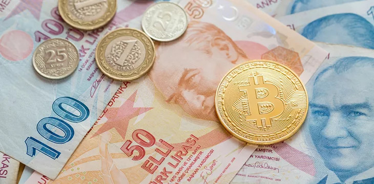 Цифровая валюта Центрального банка Турции: программируемые платежи через финансовых посредников