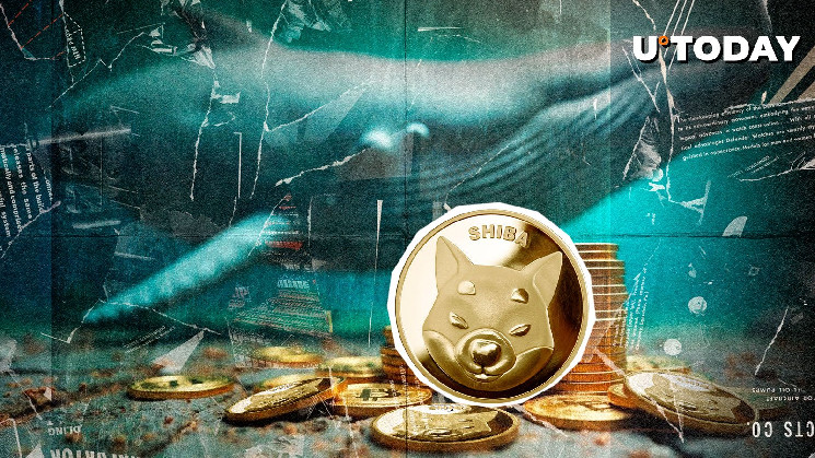 Coinbase выводит 174 миллиарда токенов Shiba Inu: загадочный транзакционный фон