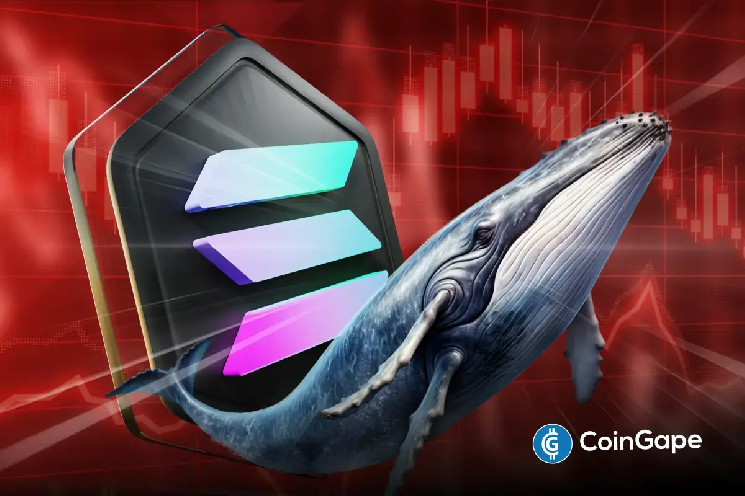 Solana может упасть на 50% до $60: китовые продажи указывают на медвежий разворот