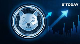 Шиба Ину: рост транзакций китов на 422%