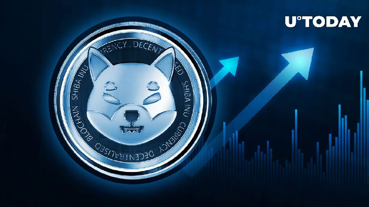 Шиба Ину: рост транзакций китов на 422%