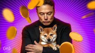 Ціна Dogecoin знижується: коментар Маска та позиція США викликали занепокоєння інвесторів