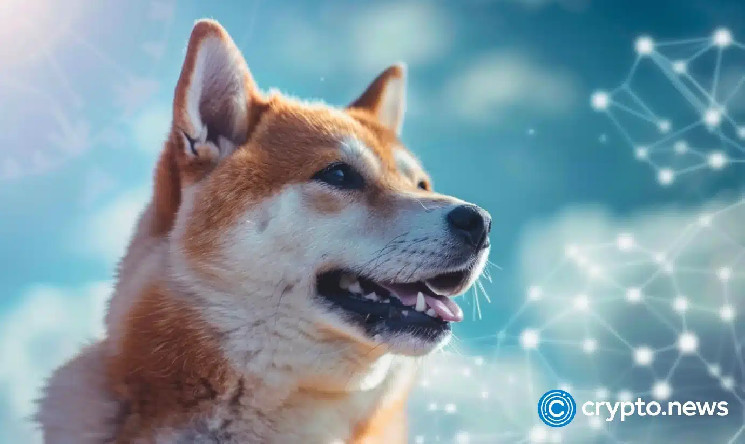 Технічний аналіз Dogecoin: обвал ціни та можливий відскок на фоні рідкісного патерну
