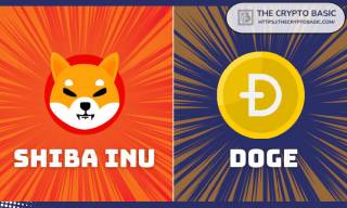 Shiba Inu на пути к обгону Dogecoin: как удвоение капитализации повлияет на цену SHIB?
