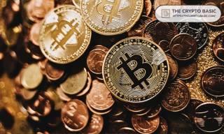 Киты Биткойна увеличили количество кошельков до рекорда с декабря 2024 года