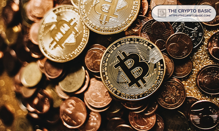 Киты Биткойна увеличили количество кошельков до рекорда с декабря 2024 года