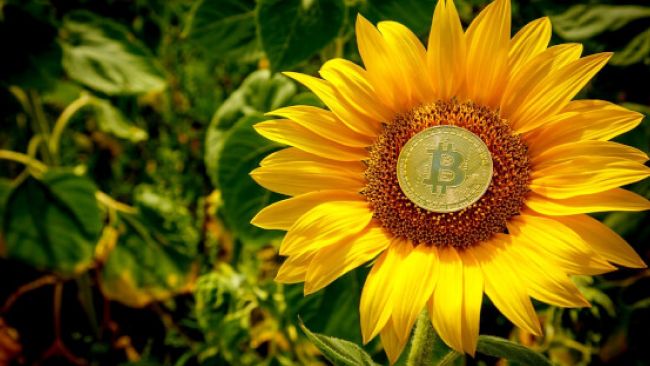 Криптовалютний ринок у березні: спади, переможці та програші на фоні побоювань рецесії